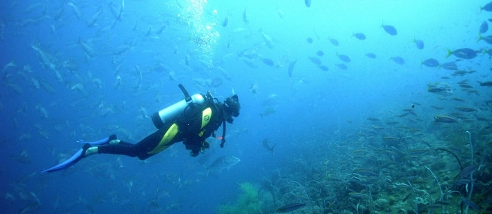 nasza oferta - zdjęcie 8