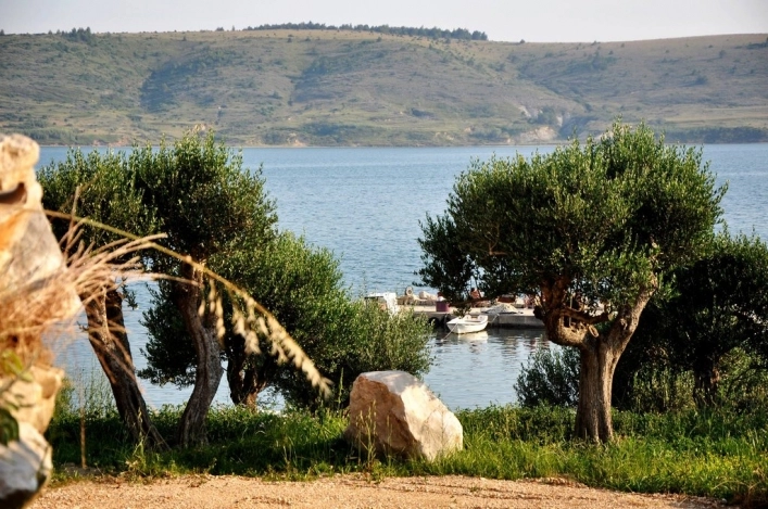 nasza oferta - zdjęcie 12