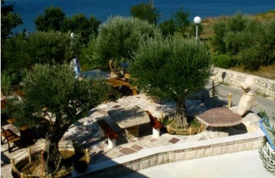 nasza oferta - zdjęcie 6