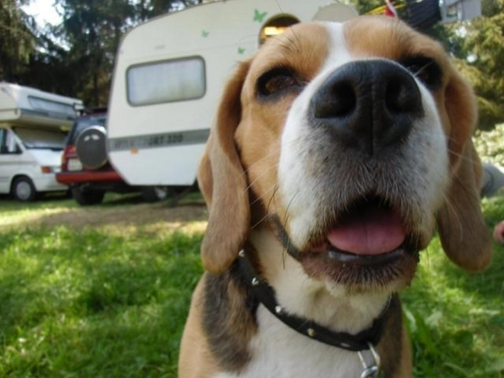 Galeria zdjęć - zdjęcie 12