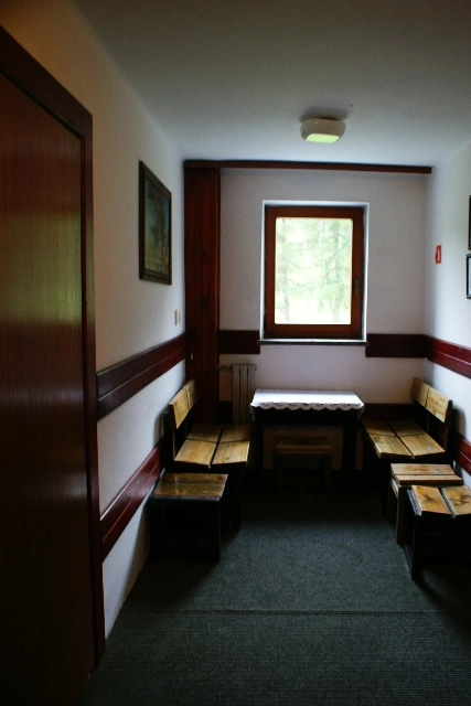 Galeria - zdjęcie 17