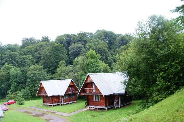 Galeria - zdjęcie 9