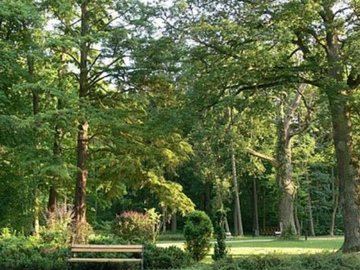 Ośrodek rekreacyjno-wypoczynkowy "Lido" - zdjęcie 4