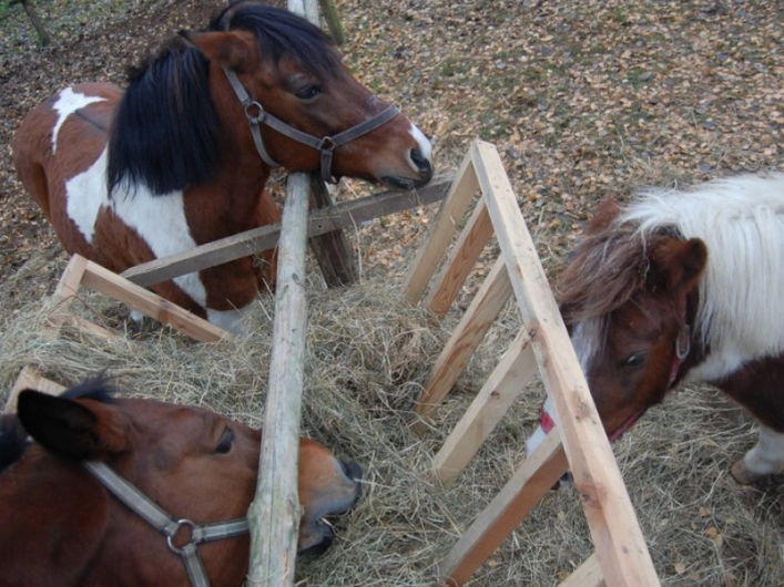 Galeria - zdjęcie 2