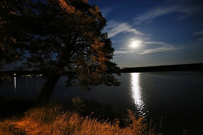 Galeria - zdjęcie 53