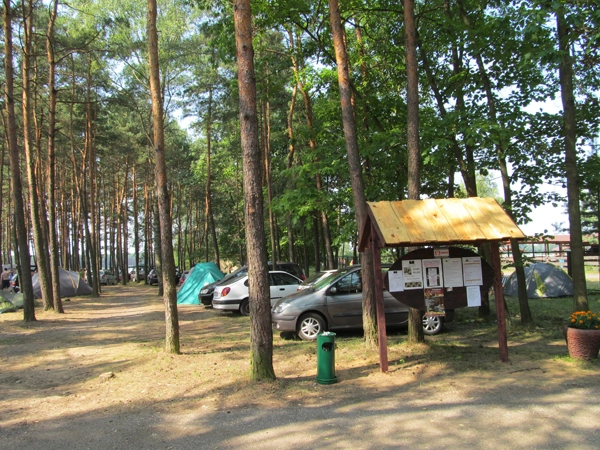 Galeria - zdjęcie 50