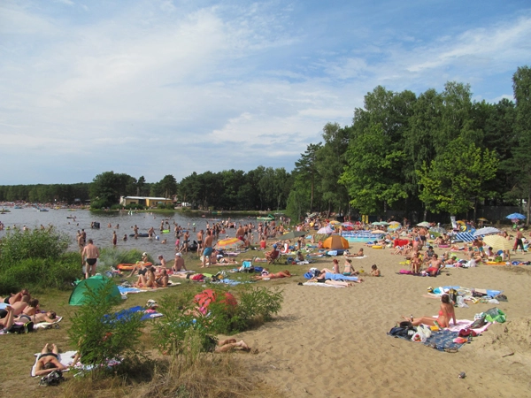 Galeria - zdjęcie 42