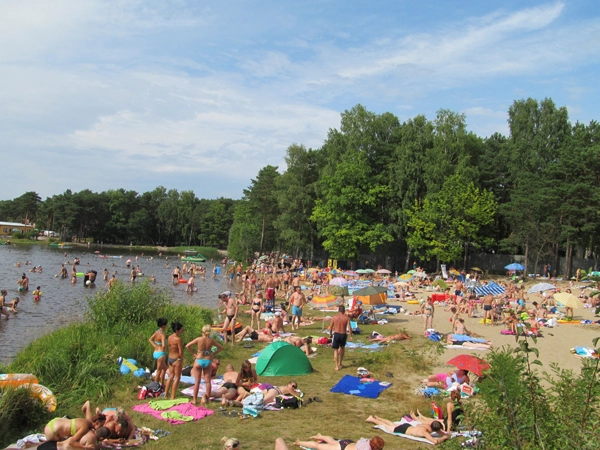 Galeria - zdjęcie 41