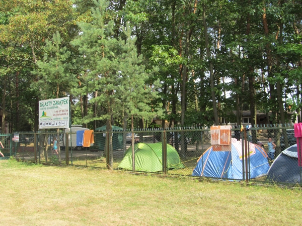 Galeria - zdjęcie 39