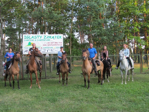 Galeria - zdjęcie 38