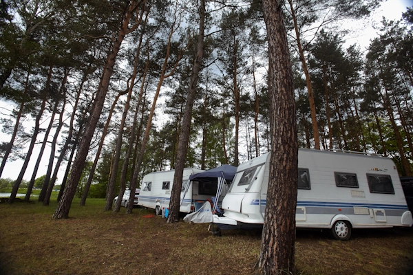 Galeria - zdjęcie 14