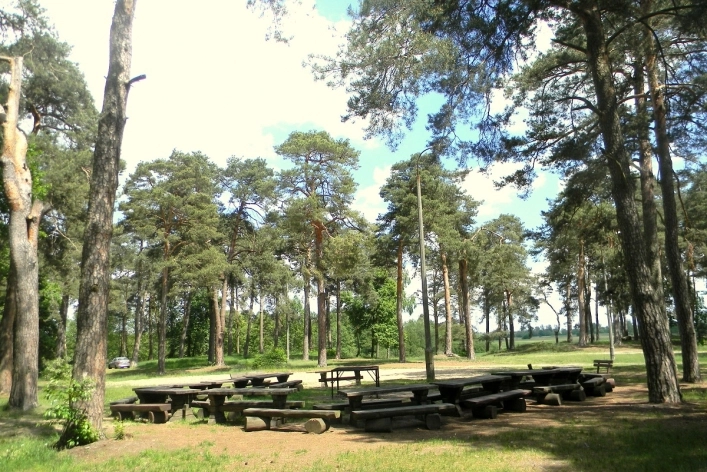 Galeria - zdjęcie 24