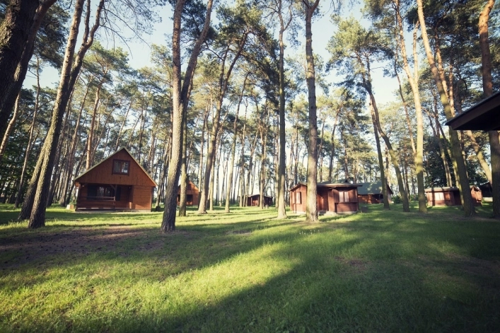 Galeria - zdjęcie 17