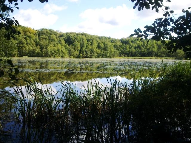 Galeria - zdjęcie 22