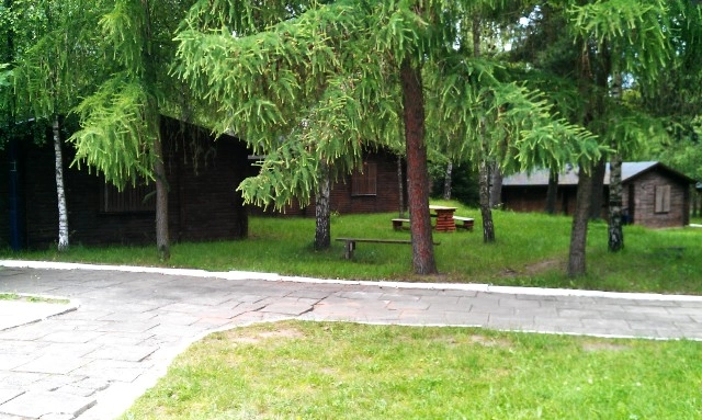 Galeria - zdjęcie 19