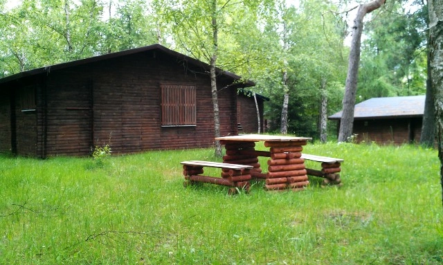 Galeria - zdjęcie 18