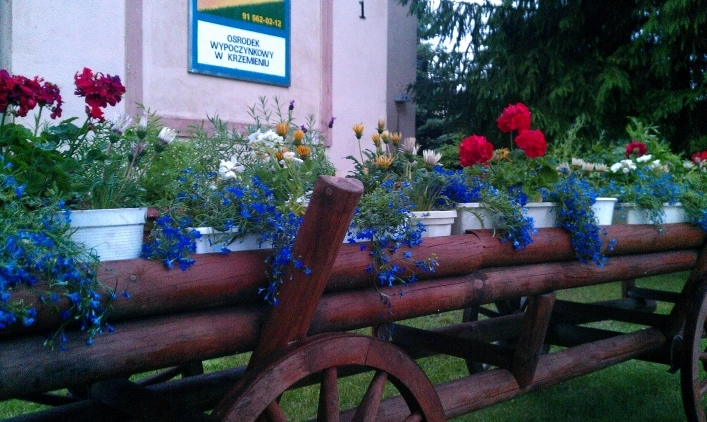 Galeria - zdjęcie 17