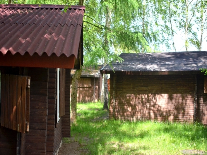 Galeria - zdjęcie 13