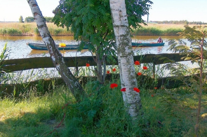 Galeria - zdjęcie 72