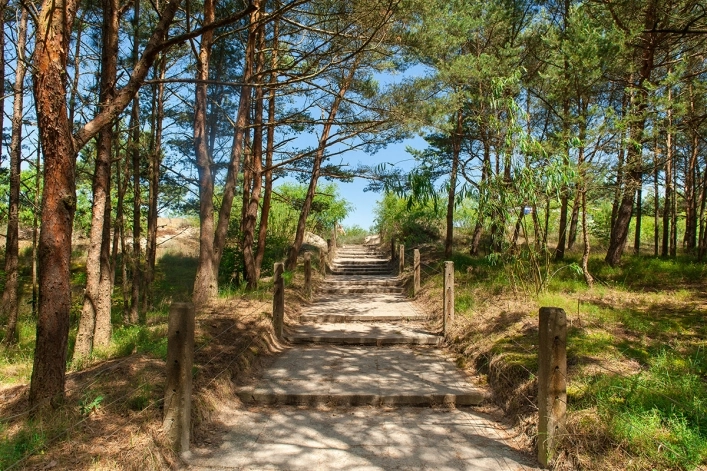 Galeria - zdjęcie 24