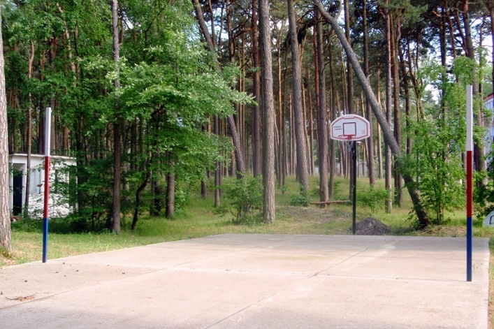 Galeria - zdjęcie 12