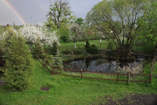 Galeria - zdjęcie 24