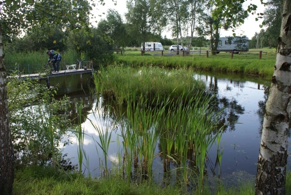 Galeria - zdjęcie 19