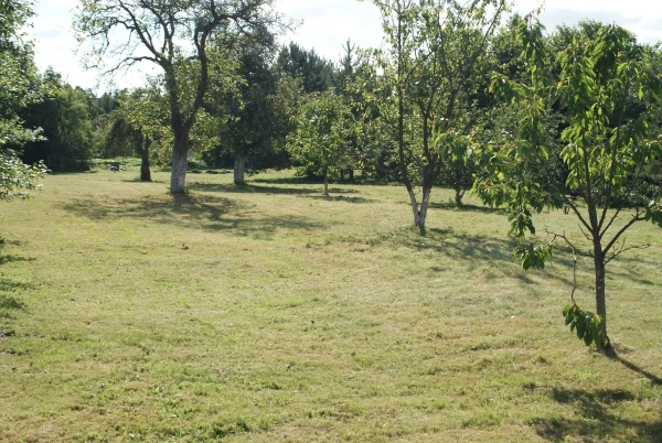 Galeria - zdjęcie 14