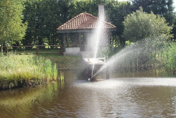 Galeria - zdjęcie 13