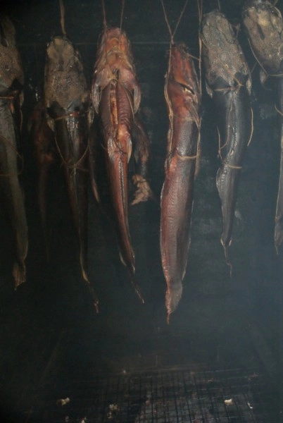 Galeria - zdjęcie 12