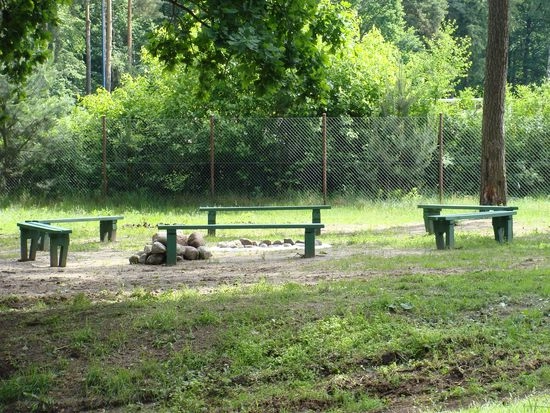 Galeria - zdjęcie 19