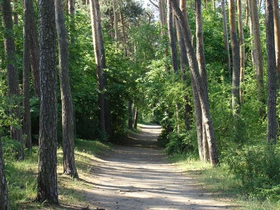 Galeria - zdjęcie 10