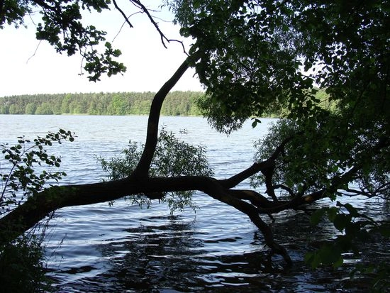 Galeria - zdjęcie 9