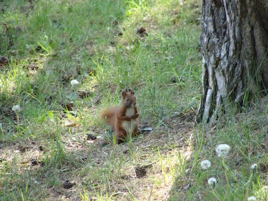 Galeria - zdjęcie 8