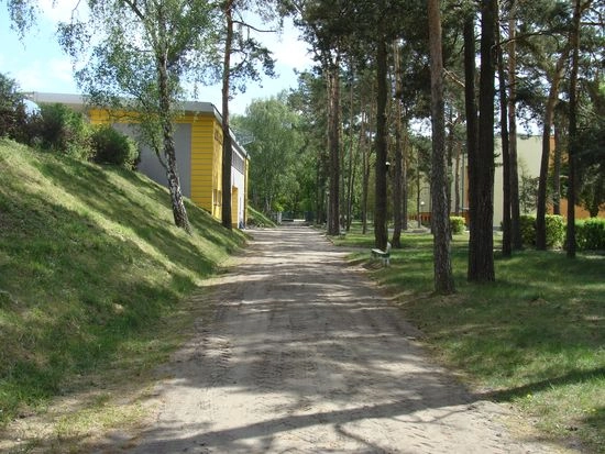 Galeria - zdjęcie 3