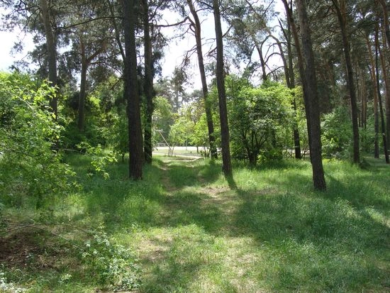 Galeria - zdjęcie 2