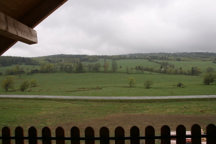 Galeria - zdjęcie 20