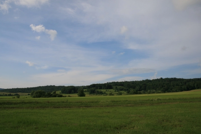 Galeria - zdjęcie 15