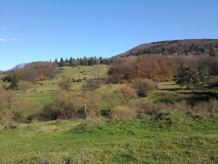 Galeria - zdjęcie 11