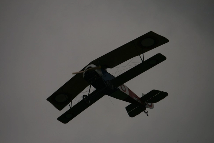 Galeria - zdjęcie 10