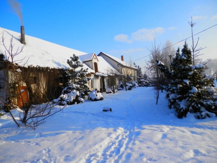 Galeria - zdjęcie 26