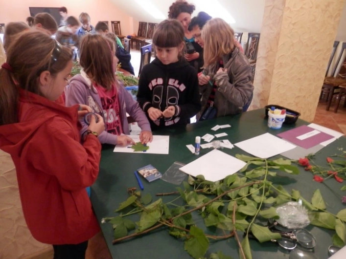 Galeria - zdjęcie 21