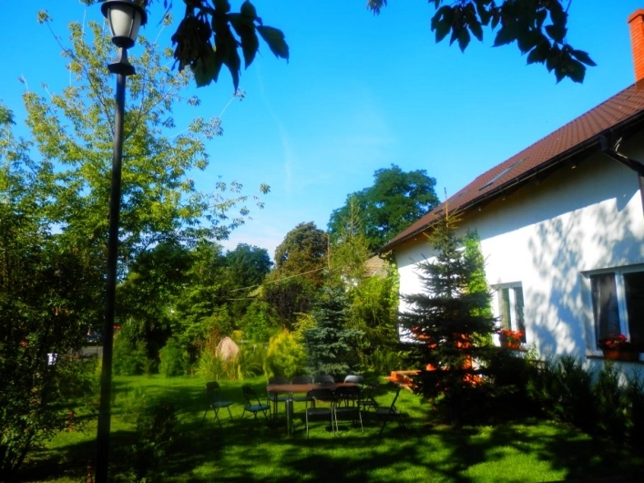 Galeria - zdjęcie 12