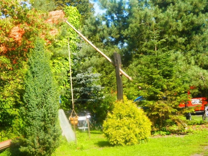 Galeria - zdjęcie 10