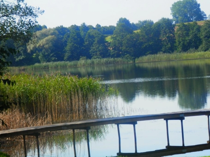 Galeria - zdjęcie 8