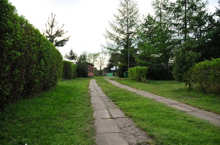 Galeria - zdjęcie 21