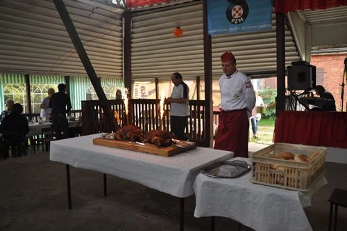 Camping ROZBARK - zdjęcie 1