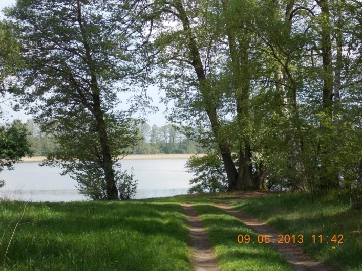 Galeria - zdjęcie 18