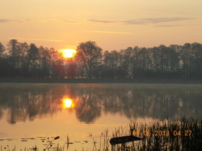 Galeria - zdjęcie 14