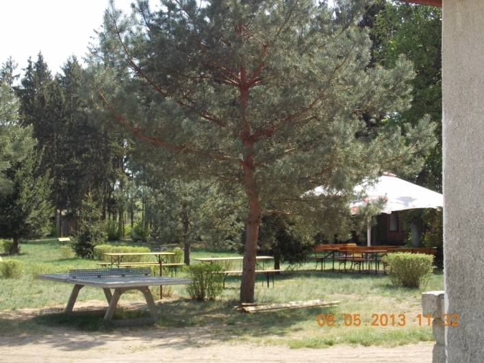 Galeria - zdjęcie 12